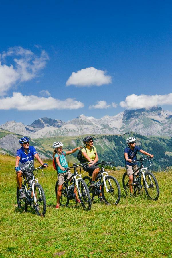 Chalet Pétérets Samoëns Kültér fotó